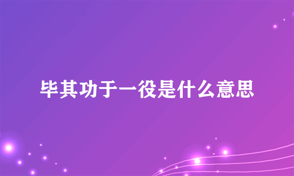毕其功于一役是什么意思