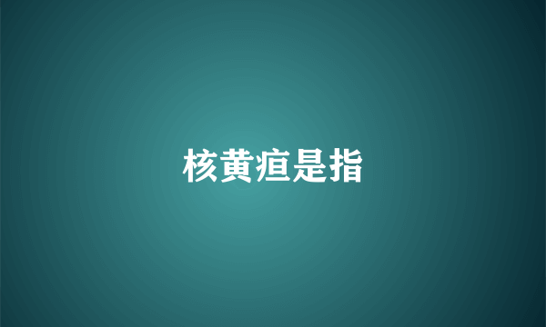 核黄疸是指