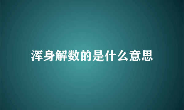 浑身解数的是什么意思