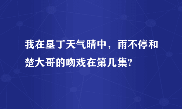 我在垦丁天气晴中，雨不停和楚大哥的吻戏在第几集?