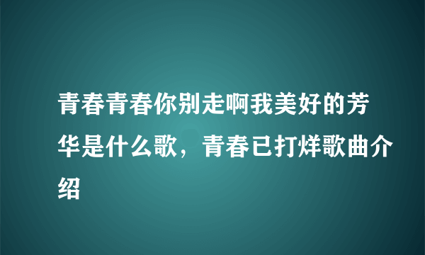 青春青春你别走啊我美好的芳华是什么歌，青春已打烊歌曲介绍