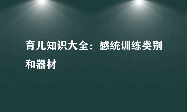 育儿知识大全：感统训练类别和器材