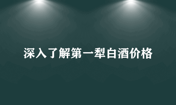 深入了解第一犁白酒价格