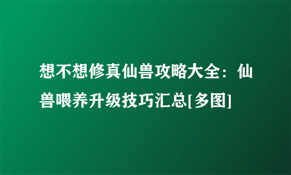 想不想修真仙兽攻略大全：仙兽喂养升级技巧汇总[多图]
