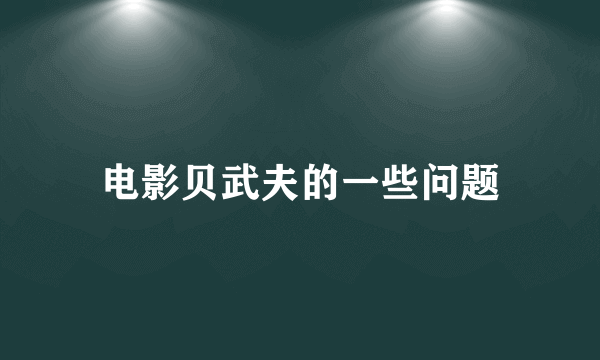 电影贝武夫的一些问题