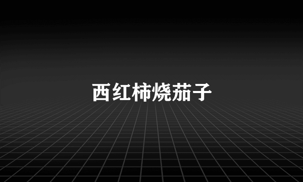 西红柿烧茄子