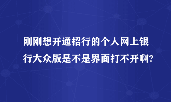 刚刚想开通招行的个人网上银行大众版是不是界面打不开啊?