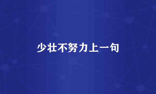少壮不努力上一句