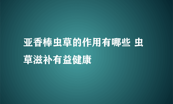 亚香棒虫草的作用有哪些 虫草滋补有益健康