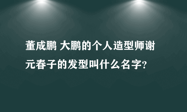董成鹏 大鹏的个人造型师谢元春子的发型叫什么名字？