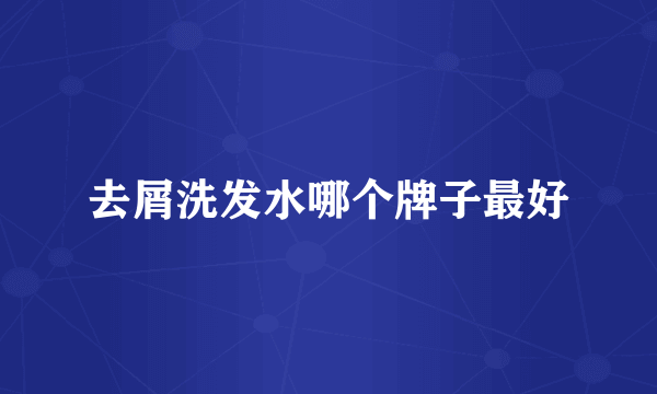 去屑洗发水哪个牌子最好