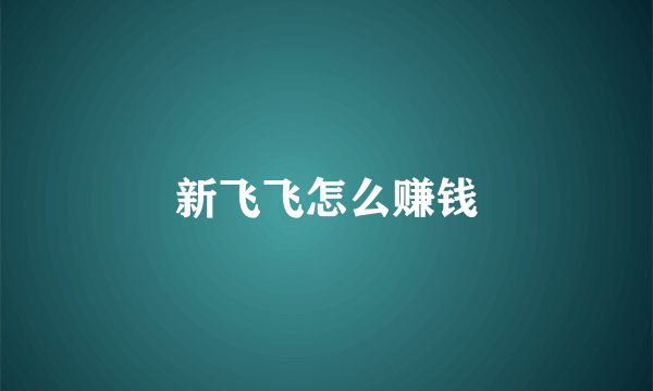 新飞飞怎么赚钱
