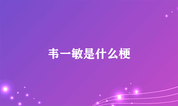 韦一敏是什么梗