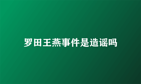 罗田王燕事件是造谣吗