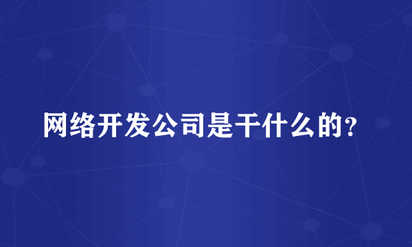 网络开发公司是干什么的？