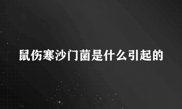 鼠伤寒沙门菌是什么引起的