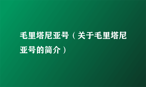 毛里塔尼亚号（关于毛里塔尼亚号的简介）