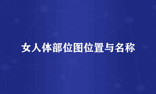 女人体部位图位置与名称
