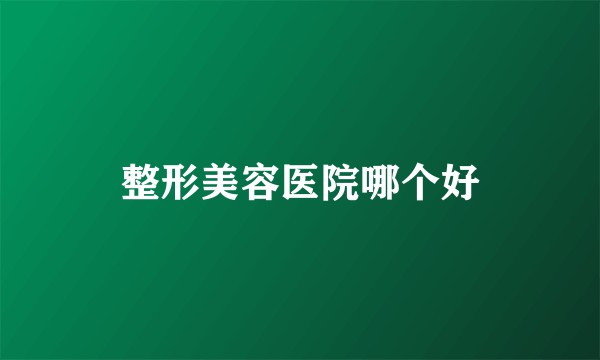 整形美容医院哪个好
