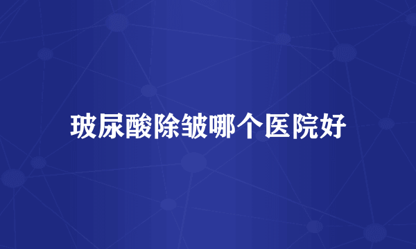 玻尿酸除皱哪个医院好