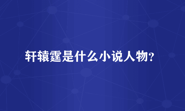 轩辕霆是什么小说人物？