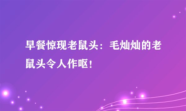 早餐惊现老鼠头：毛灿灿的老鼠头令人作呕！