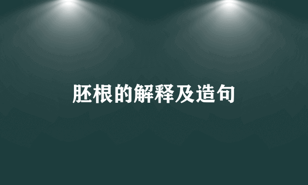 胚根的解释及造句