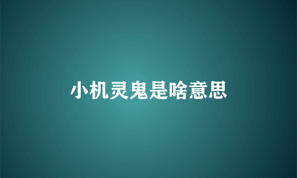 小机灵鬼是啥意思