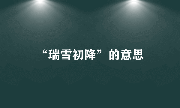 “瑞雪初降”的意思