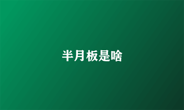 半月板是啥