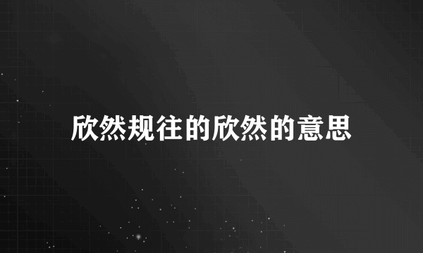 欣然规往的欣然的意思