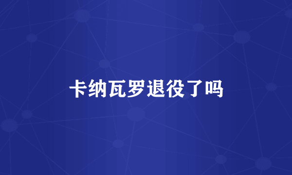 卡纳瓦罗退役了吗
