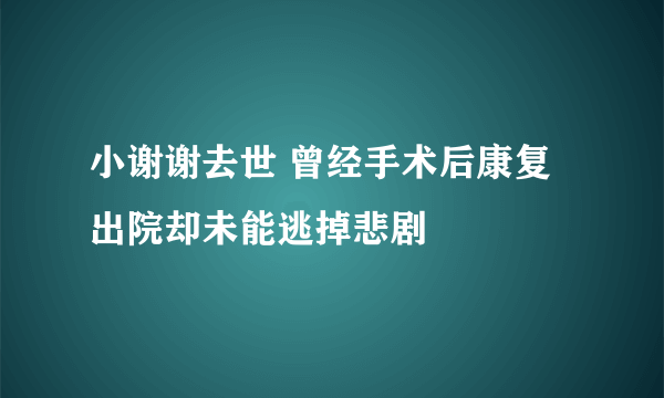 小谢谢去世 曾经手术后康复出院却未能逃掉悲剧