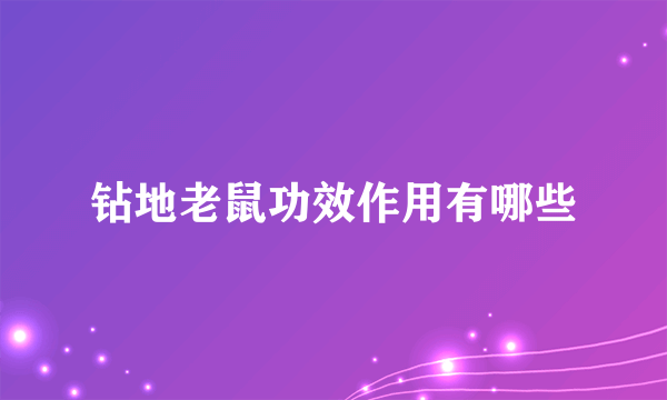 钻地老鼠功效作用有哪些