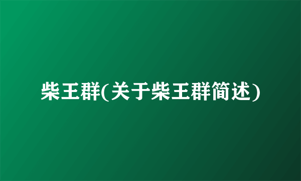 柴王群(关于柴王群简述)