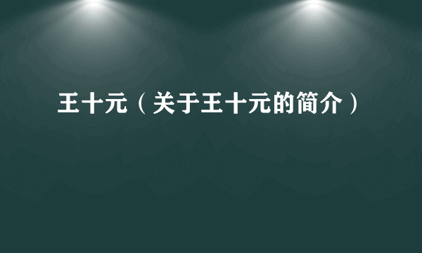 王十元(关于王十元的简介)