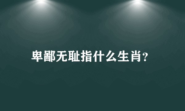 卑鄙无耻指什么生肖？