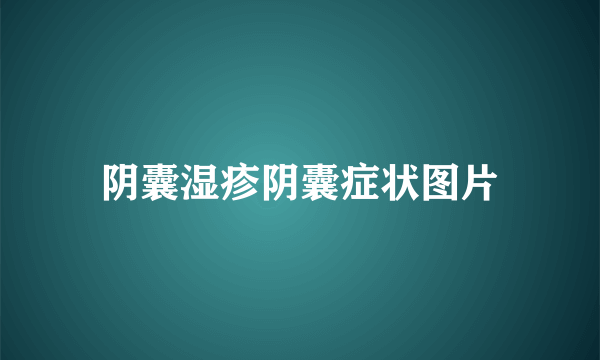 阴囊湿疹阴囊症状图片