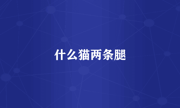 什么猫两条腿