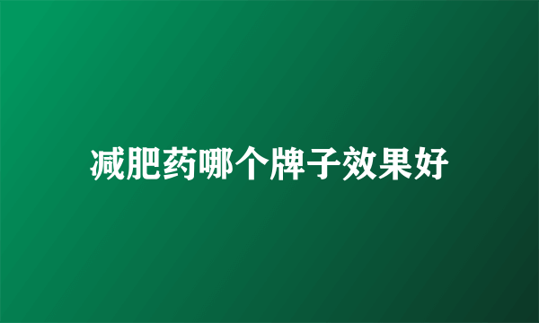 减肥药哪个牌子效果好