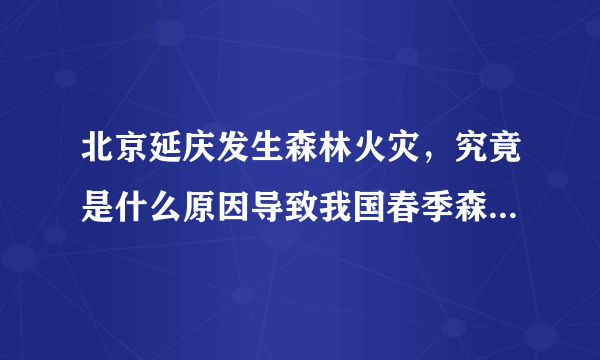 北京延庆发生森林火灾，究竟是什么原因导致我国春季森林火灾会多发？
