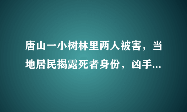 唐山一小树林里两人被害,当地居民揭露死者身份,凶手为何敢顶风作案?