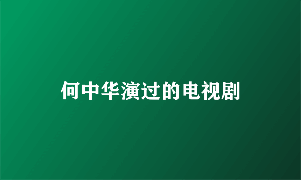 何中华演过的电视剧