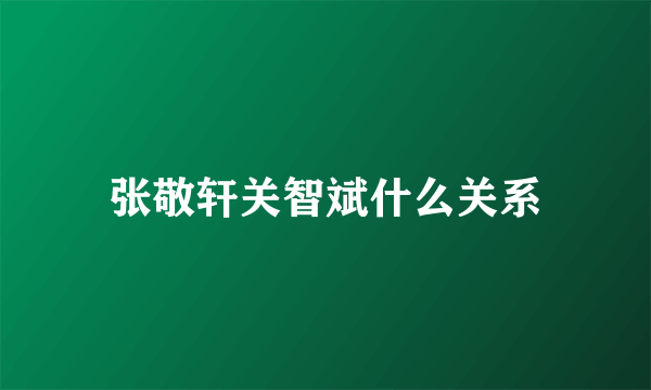 张敬轩关智斌什么关系