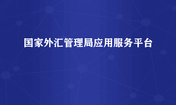 国家外汇管理局应用服务平台