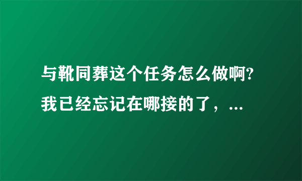与靴同葬这个任务怎么做啊? 我已经忘记在哪接的了，插件也没显示。。。求坐标~