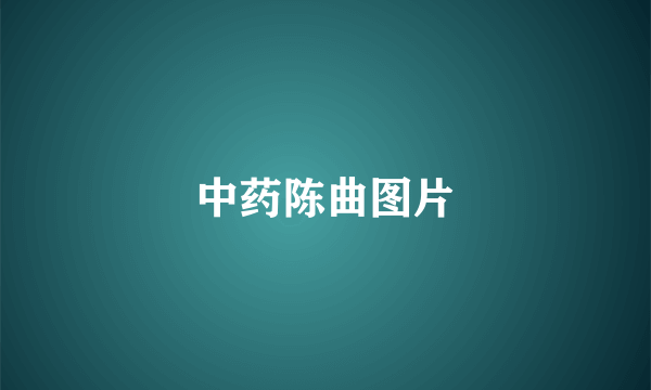 中药陈曲图片