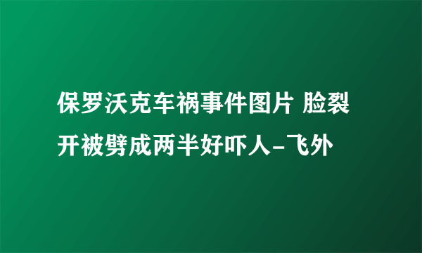 保罗沃克车祸事件图片 脸裂开被劈成两半好吓人-飞外