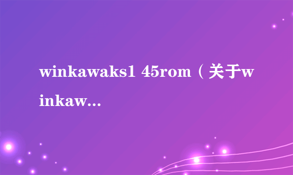 winkawaks1 45rom（关于winkawaks1 45rom的介绍）