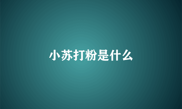 小苏打粉是什么